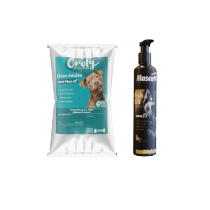 Pack Complice du quotidien - Chien