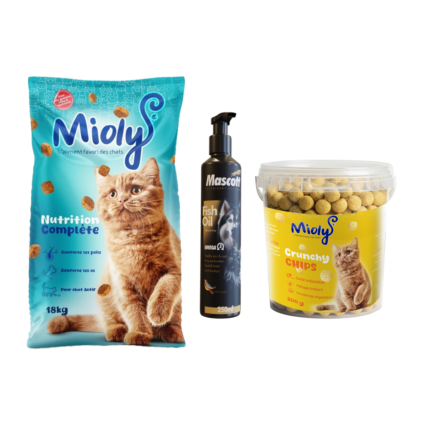 Pack Croq’ & Boost - Chat