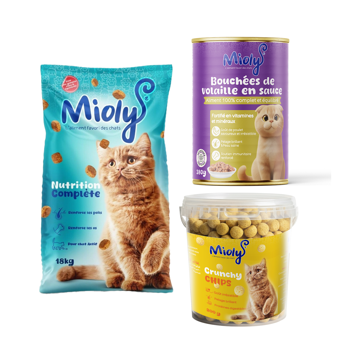 Pack Plaisir Félin- Chat